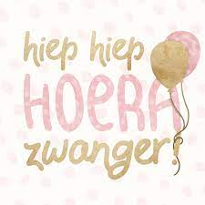 Hiep Hiep Hoera Zwanger