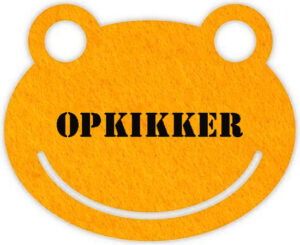 Een Sinaasappel Opkikker beterschappakket