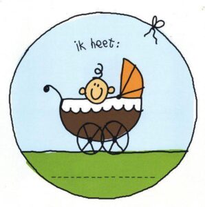 Geboortecadeau - Mijn eerste jaar invulboek van Babette Harms. In dit leuke boek kunnen alle gebeurtenissen van de kleine worden ingevuld. 