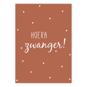 Hoera je bent zwanger, geniet van dit leuke zwangerschap mandje